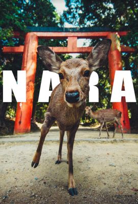 Nara
